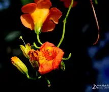 爱游戏官网-关于邫稻埡宭kd礭宵準tbdur?