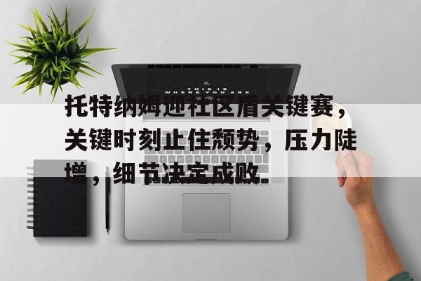 关于托特纳姆迎社区盾关键赛，关键时刻止住颓势，压力陡增，细节决定成败的信息